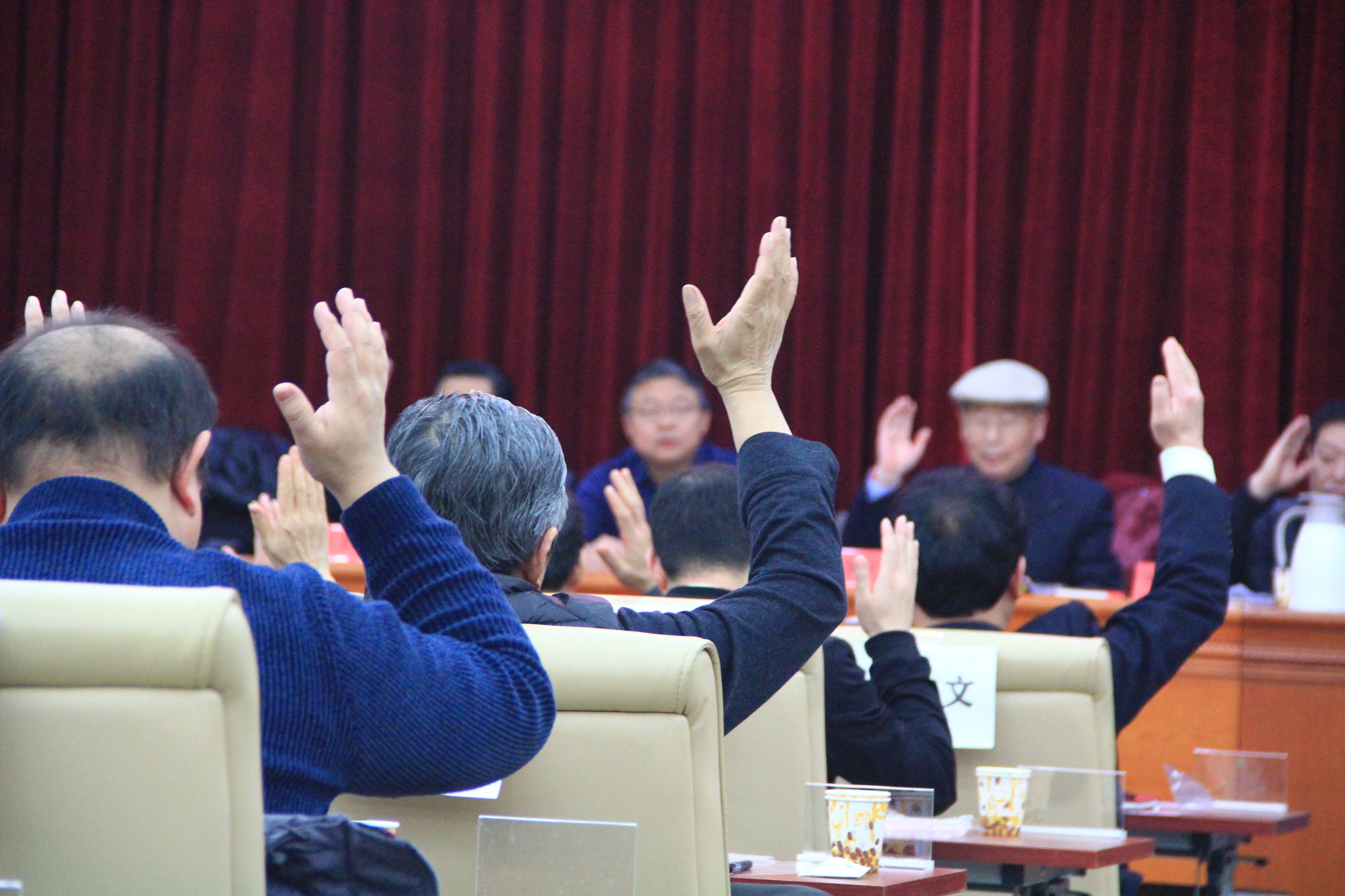 北京师白艺术研究会换届大会圆满举行
